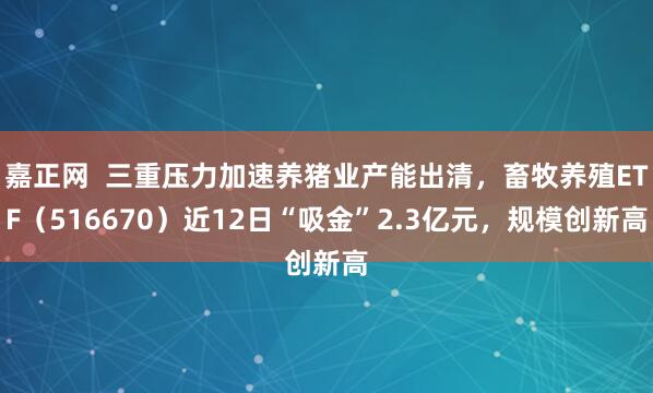 嘉正网  三重压力加速养猪业产能出清，畜牧养殖ETF（516670）近12日“吸金”2.3亿元，规模创新高