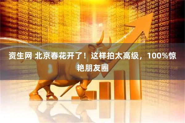 资生网 北京春花开了！这样拍太高级，100%惊艳朋友圈